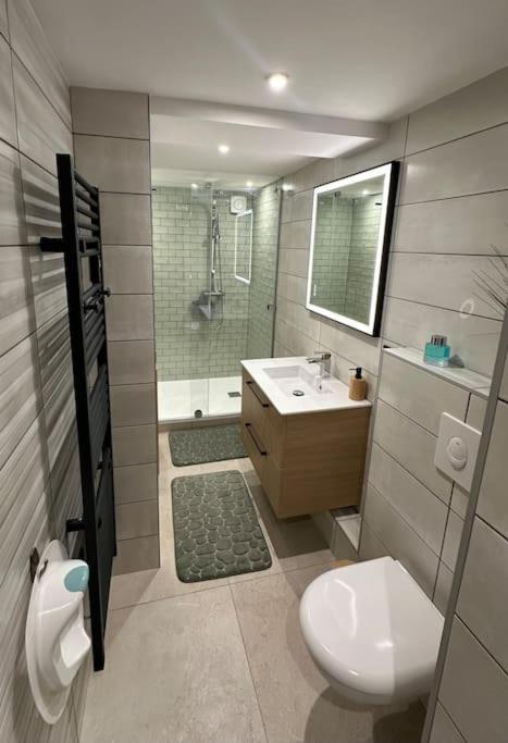 Le Briand Appartement 4Etoiles Nancy Thermal Cosy Avec Terrasse Wifi Exteriér fotografie